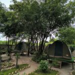 campsite1