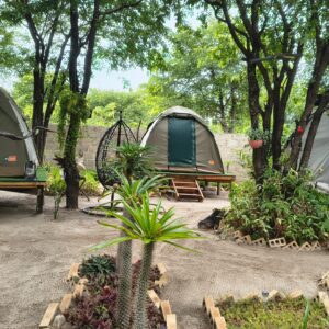 campsite2