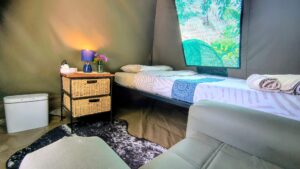 campsite5