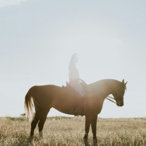 Horse Ride