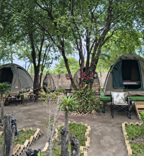 camp 1 01